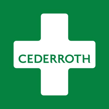 CEDERROTH Erste Hilfe Koffer Large 31 x 24,7 x 8 cm (B x H x T) grün